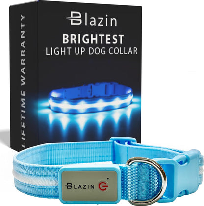 Light up Dog Collar - the Original LED Dog Collar - USB Rechargeable - Waterproof - 1,000 Feet of Visibility - Dog Collar Light for Small, Medium, Large Dogs - USA Brand