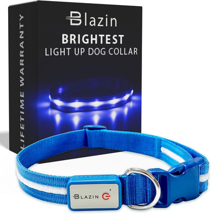 Light up Dog Collar - the Original LED Dog Collar - USB Rechargeable - Waterproof - 1,000 Feet of Visibility - Dog Collar Light for Small, Medium, Large Dogs - US Brand